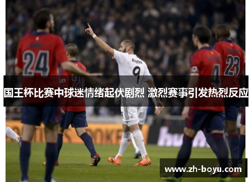 国王杯比赛中球迷情绪起伏剧烈 激烈赛事引发热烈反应