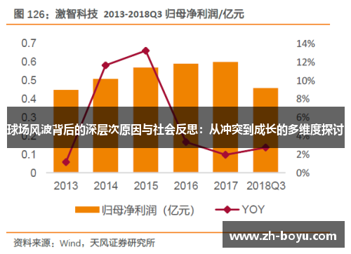 球场风波背后的深层次原因与社会反思：从冲突到成长的多维度探讨