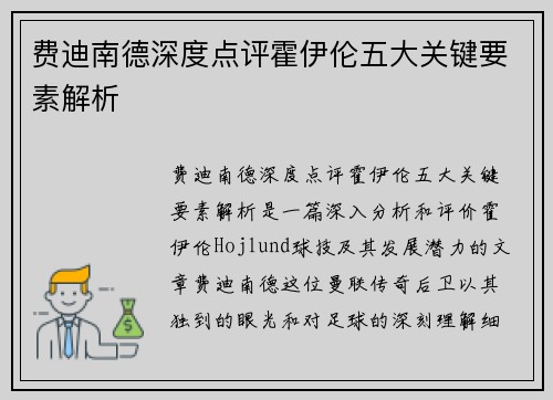 费迪南德深度点评霍伊伦五大关键要素解析