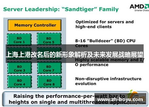 上海上港改名后的新形象解析及未来发展战略展望