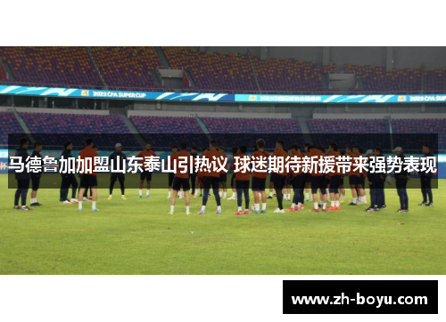 马德鲁加加盟山东泰山引热议 球迷期待新援带来强势表现