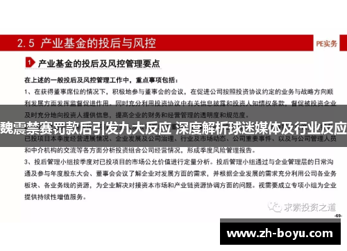 魏震禁赛罚款后引发九大反应 深度解析球迷媒体及行业反应