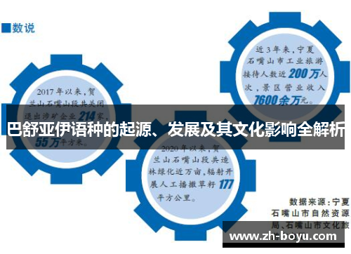 巴舒亚伊语种的起源、发展及其文化影响全解析