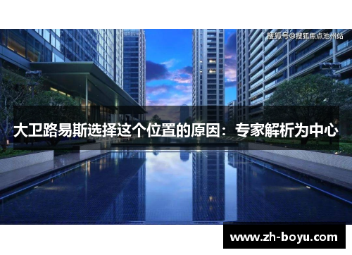 大卫路易斯选择这个位置的原因：专家解析为中心